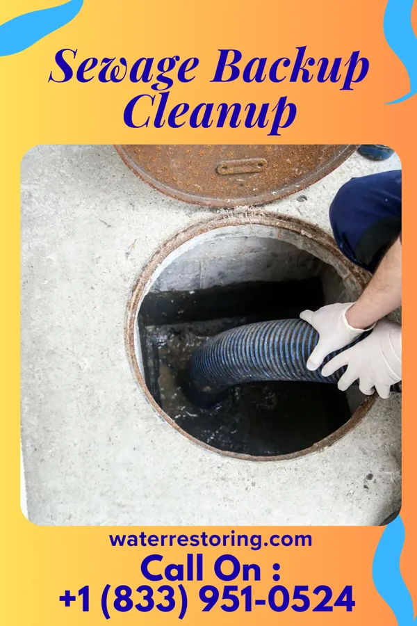 Sewage Backup Cleanup in St. Joseph, MO